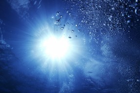 世界体能挑战赛：专项化评估体系为选手跨项发展提供新路径，世界体能大赛